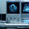 Radiographie et échographie vétérinaire